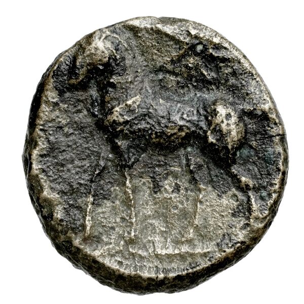 Euagoras II of Salamis Salamis BMC Salamis 69-73, реверс, bnf-iris