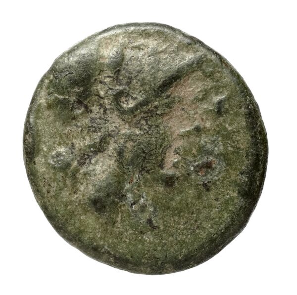 Caelia Historia Numorum Italy 770, аверс, bnf-iris