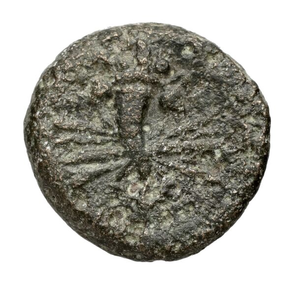 реверс Paestum Historia Numorum Italy 1223