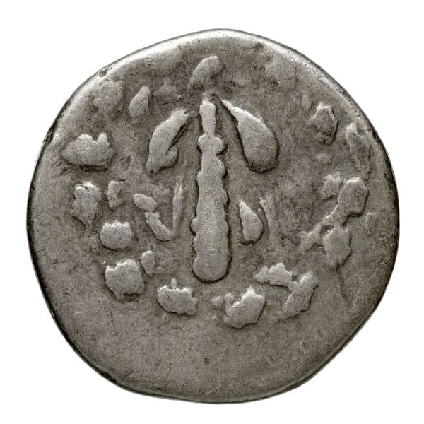 reverse Ephesus Kleiner and Noe 1977 21 drachm