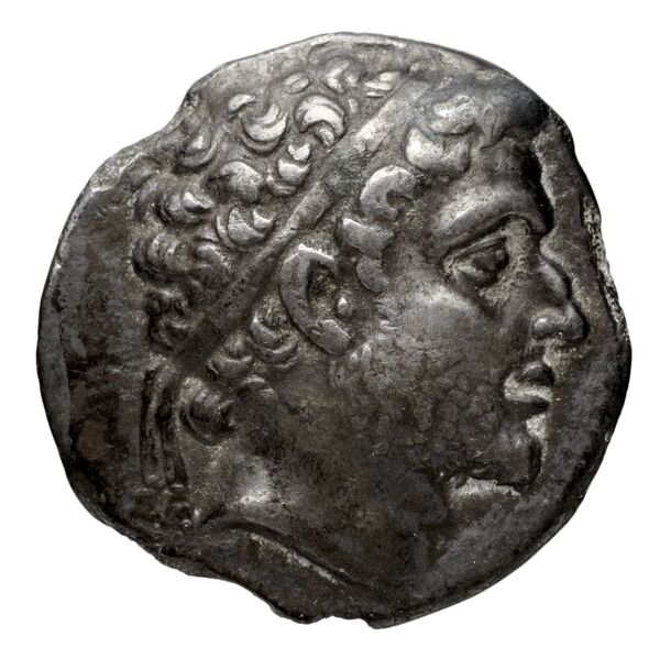 Philip V Macedon AMNG III.2 4-6, аверс, bnf-iris