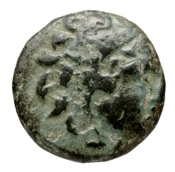 Philip V Macedon AMNG III.2 13-14, аверс, bnf-iris