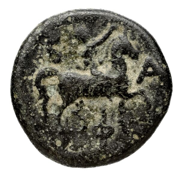 Philip V Macedon AMNG III.2 7, реверс, bnf-iris