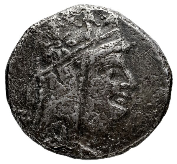 Tigranes the Younger of Sophene obv