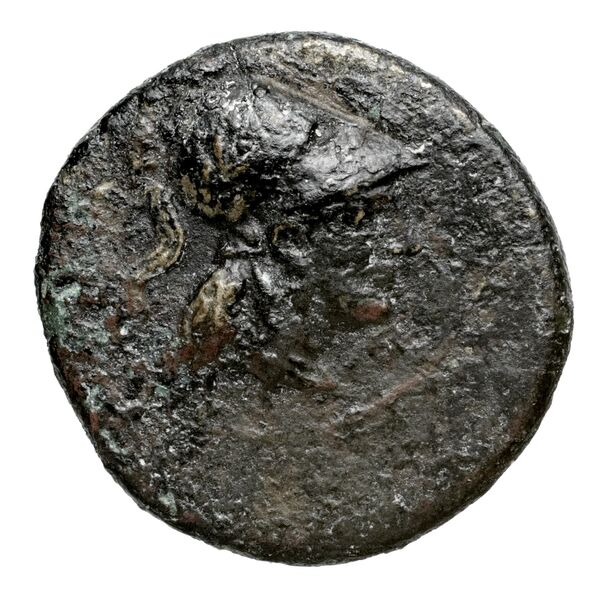 Euagoras II of Salamis Salamis BMC Salamis 68, аверс, bnf-iris