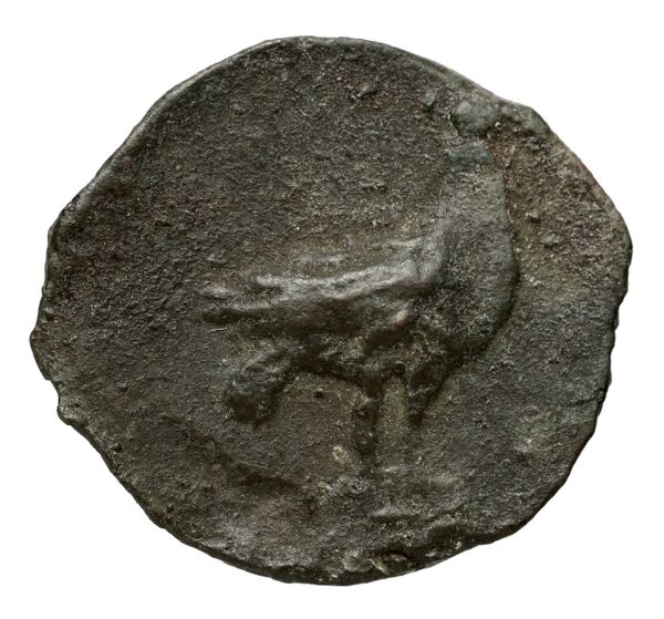 Locri Epizephyrii Historia Numorum Italy 2352, реверс, bnf-iris