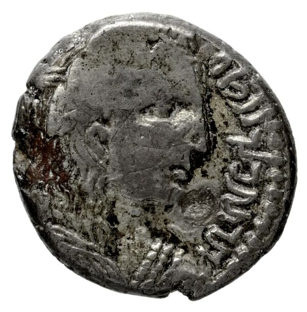 Aretas IV of Nabataea Petra Barkay 2019 89, 104, 123, 125, 129, 135, аверс, bnf-iris