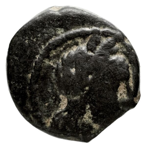 аверс Aretas IV of Nabataea Petra Barkay 2019 94-5, 116-7