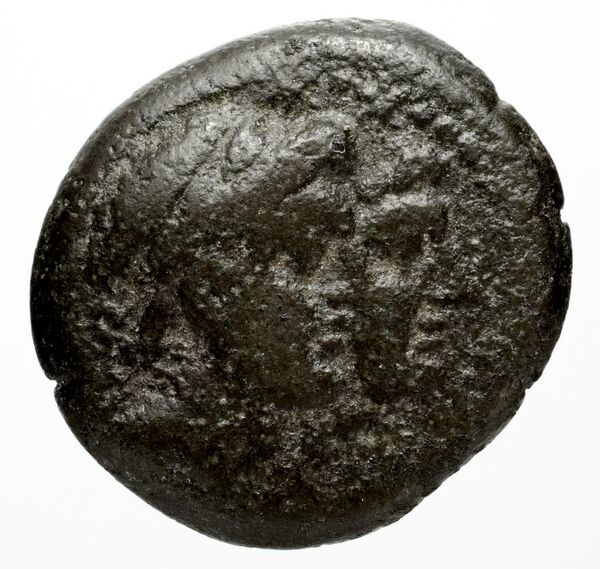 Ptolemais-Ake Kadman 1961 11-44, аверс, bnf-iris