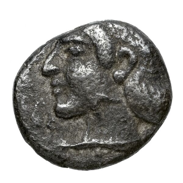 Sppntaza Phellus Hoff 2017 M250-1, obverse, bnf-iris