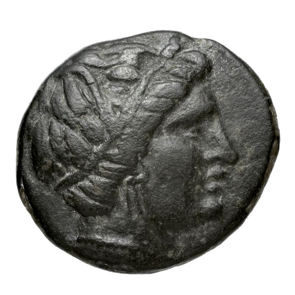 Phacium Rogers 1932 444-445, аверс, bnf-iris