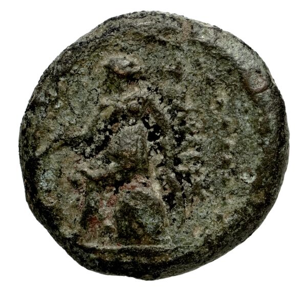 Telmessus Tek 2006 2, реверс, bnf-iris