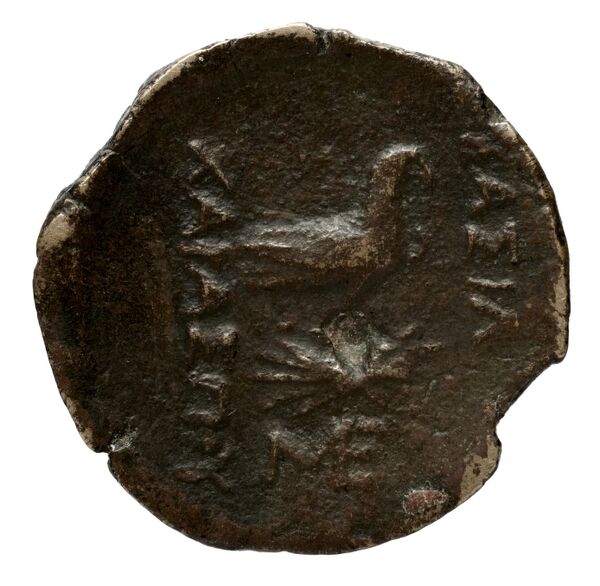 Scythia Minor rev