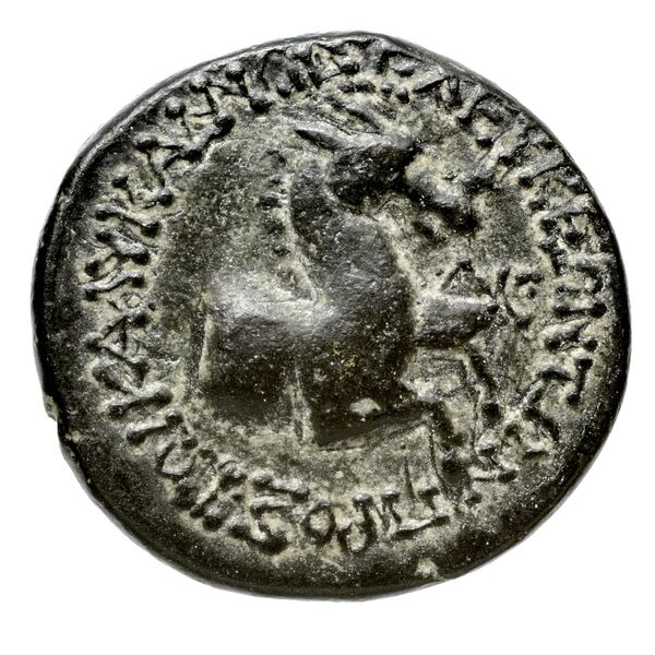 Seleuceia ad Calycadnum SNG Levante 690-8, реверс, bnf-iris