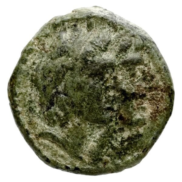 Ptolemais-Ake Kadman 1961 11-44, аверс, bnf-iris