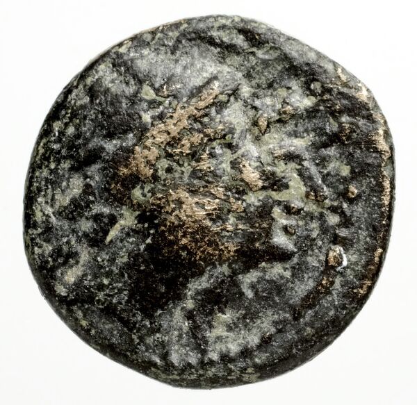 Ptolemais-Ake Kadman 1961 11-44, аверс, bnf-iris