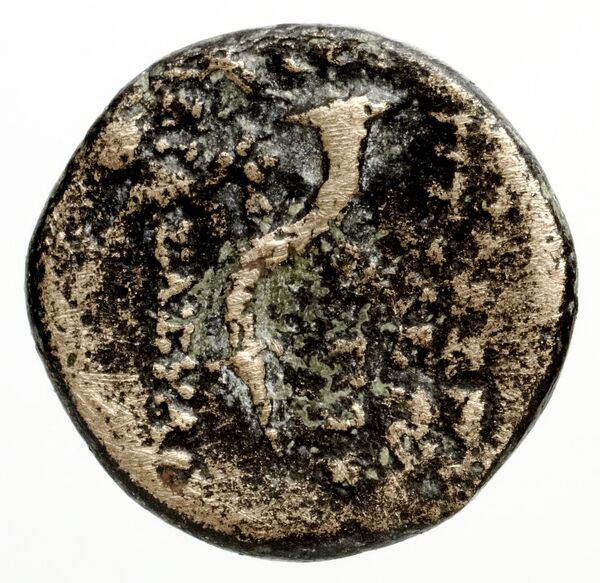 Ptolemais-Ake Kadman 1961 11-44, реверс, bnf-iris