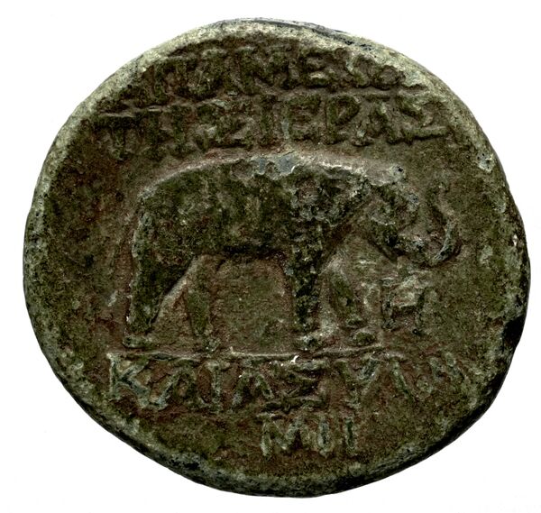Apameia in Syria BMC Apamea 3, 5, 14, реверс, bnf-iris
