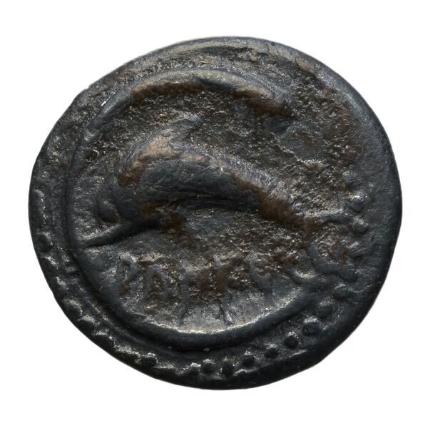 coin obv