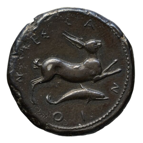 Messana Caltabiano 1993 510-542, реверс, bnf-iris