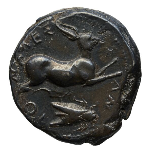 Messana Caltabiano 1993 510-542, реверс, bnf-iris