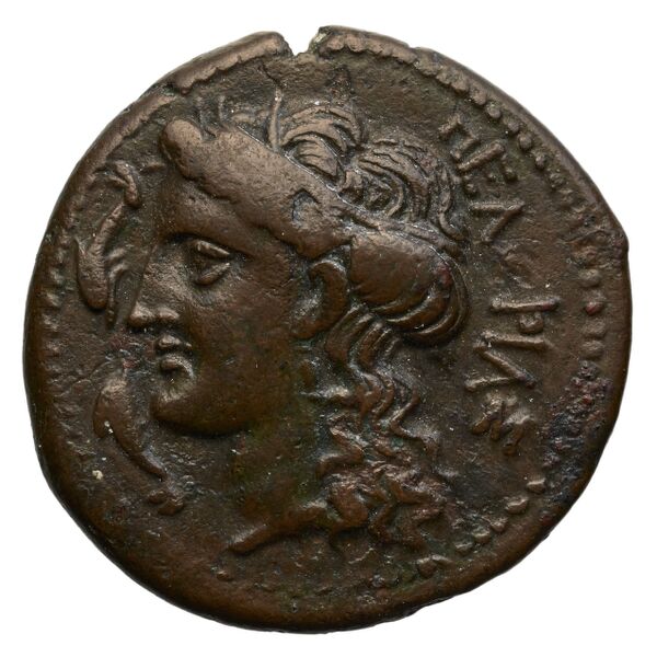Messana Caltabiano 1993 878-884, аверс, bnf-iris