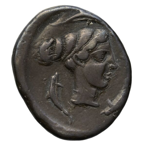 Motya Campana 1999 group I 1, аверс, bnf-iris