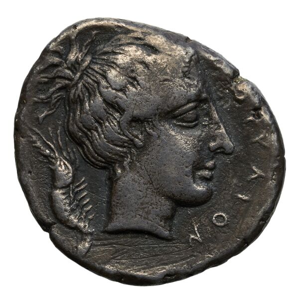 Motya Campana 1999 group III 6, аверс, bnf-iris