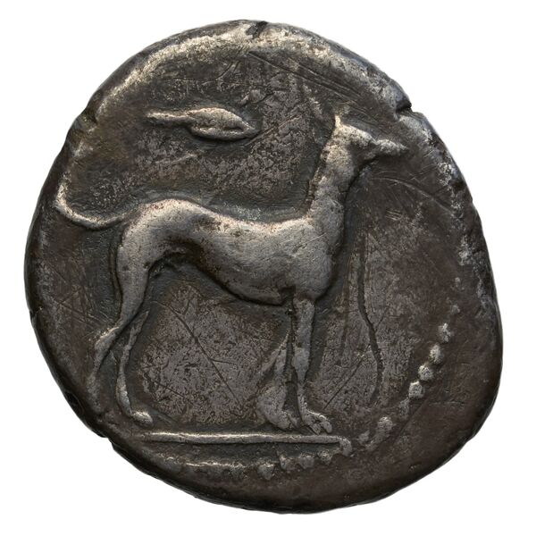 Motya Campana 1999 group III 6, реверс, bnf-iris