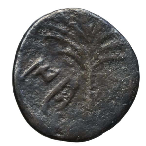 Motya Campana 1999 group VI serie I 15, реверс, bnf-iris