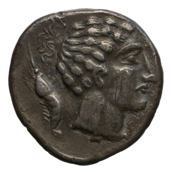 Panormus Jenkins 1971 2-7, аверс, bnf-iris