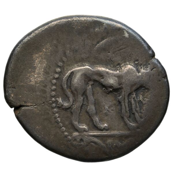 Segesta Hurter 2008 140-148, reverse, bnf-iris