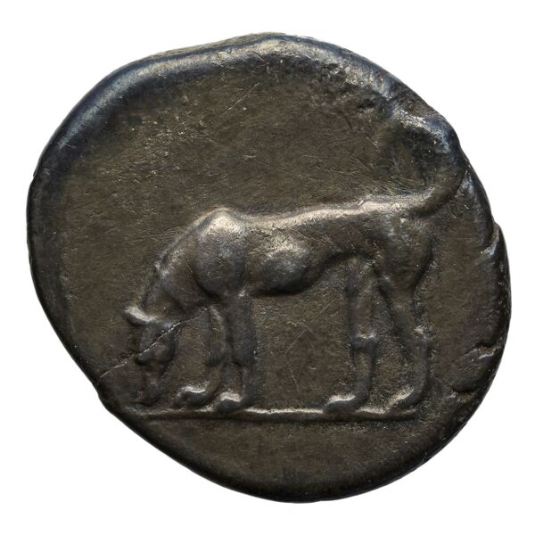 Segesta Hurter 2008 140-148, reverse, bnf-iris