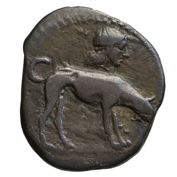Segesta Hurter 2008 149-178, reverse, bnf-iris