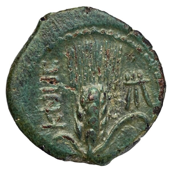 Capua Historia Numorum Italy 500, реверс, bnf-iris