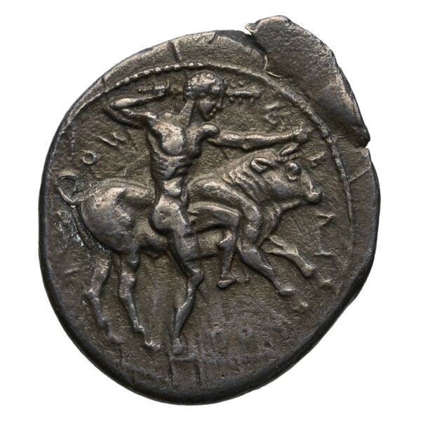 Selinus SNG ANS 701-710, аверс, bnf-iris