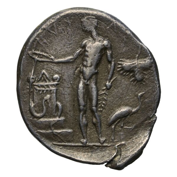 Selinus SNG ANS 701-710, реверс, bnf-iris