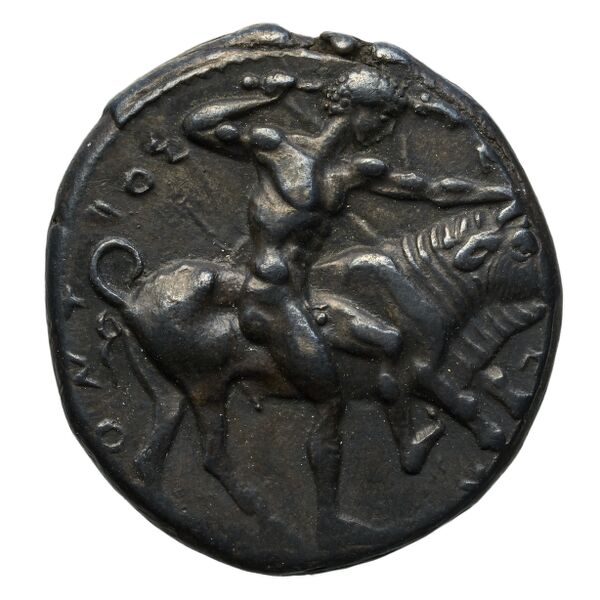 Selinus SNG ANS 701-710, аверс, bnf-iris