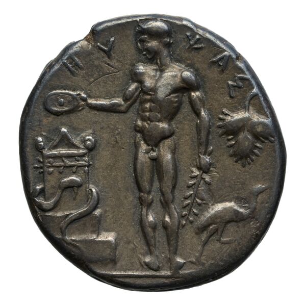Selinus SNG ANS 701-710, реверс, bnf-iris
