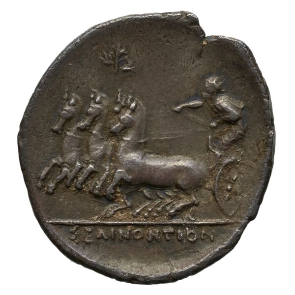 Selinus SNG ANS 713-714, реверс, bnf-iris
