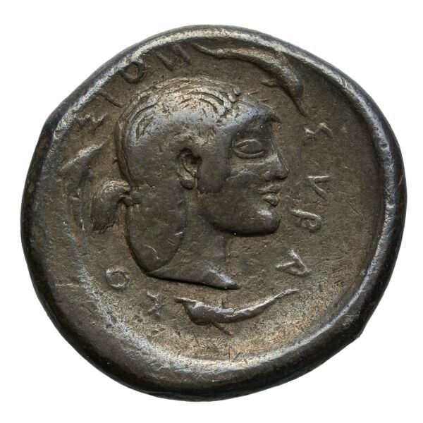 Hieron I of Syracuse Syracuse Boerhinger 1929 52_96-101, аверс, bnf-iris