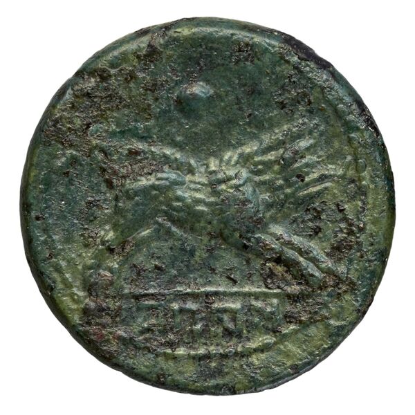 Capua Historia Numorum Italy 492, reverse, bnf-iris