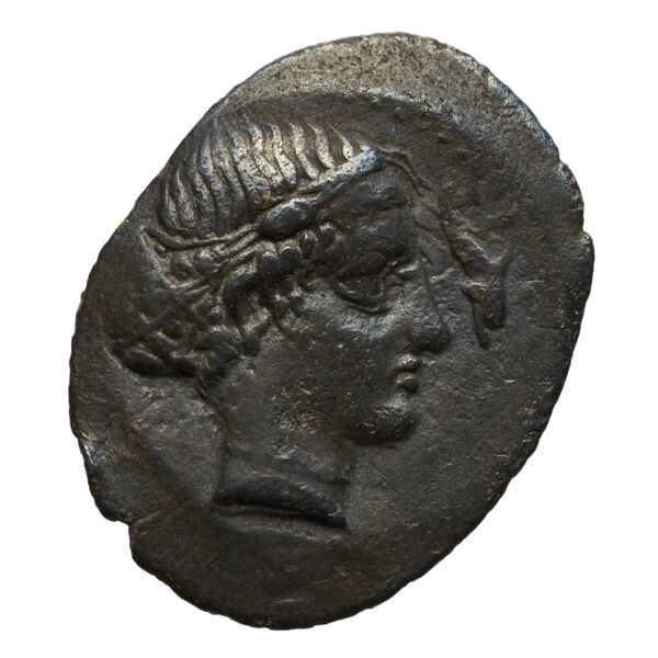 Syracuse SNG ANS 277_282-283_286, аверс, bnf-iris