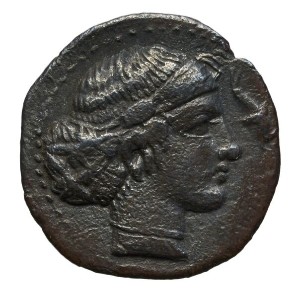 Syracuse SNG ANS 277_282-283_286, аверс, bnf-iris