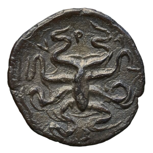 Syracuse SNG ANS 277_282-283_286, реверс, bnf-iris