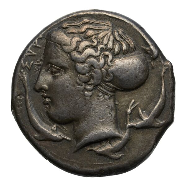 Syracuse Fischer-Bossert 2017 II. 49-56, 60-65, 67-77, аверс, bnf-iris