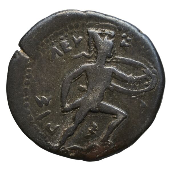Syracuse SNG ANS 304, реверс, bnf-iris