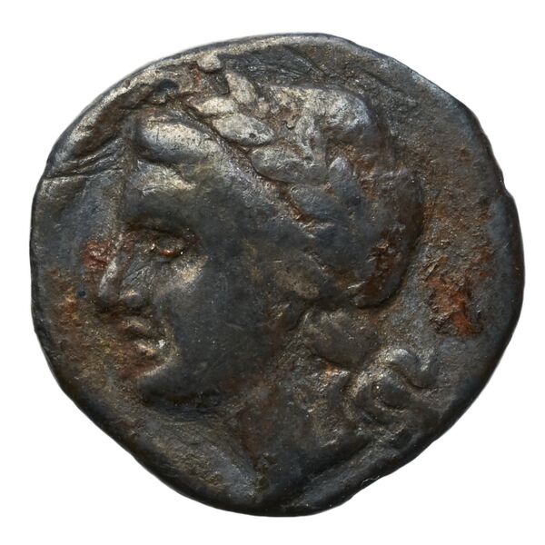 аверс Agathocles of Syracuse Syracuse De Lisle 2021 E2