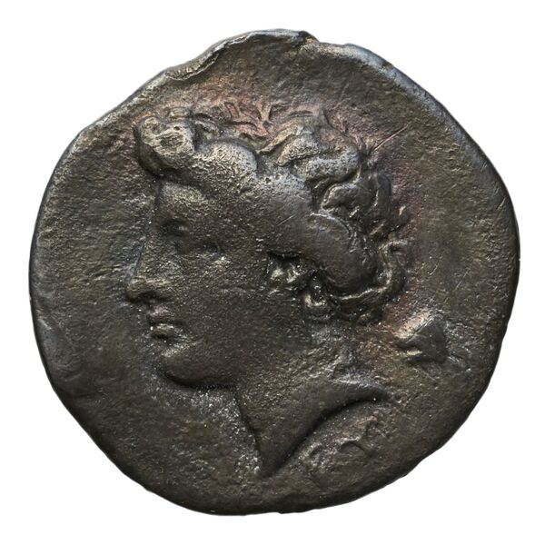 Timoleon Syracuse SNG ANS 512-515_1185, аверс, bnf-iris