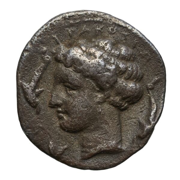 Timoleon Syracuse SNG ANS 512-515_1185, аверс, bnf-iris